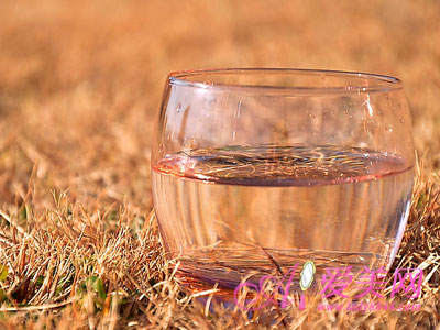 ‘beat·365’郭艾伦秀肌肉引质疑 