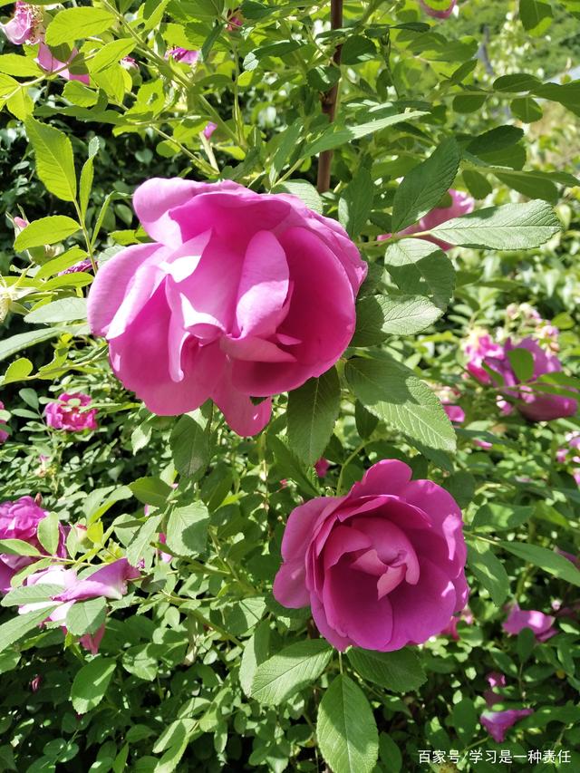 
30-42岁的女人对 怎样的男子没有拒