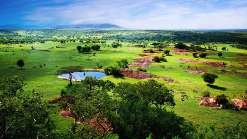 beat365官网-过了四十岁还执意要二